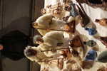2022/01/images/tour_953/20200223175751.jpg