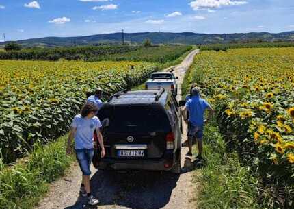 Džip tura po istočnim padinama Fruške gore