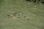2020/05/images/tour_687/IMG_6990.jpg
