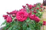 2020/05/images/tour_682/IMG_20190601_093923.jpg