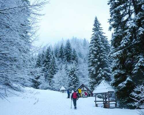 2025/02/images/tour_1843/snowshoeing-serbia-kopaonik-12-large.jpg