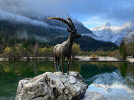 Kranjska Gora