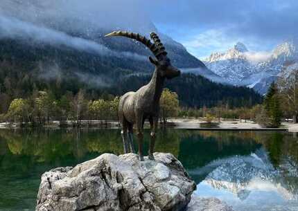Kranjska Gora