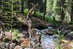2024/07/images/tour_1463/drvce.jpg