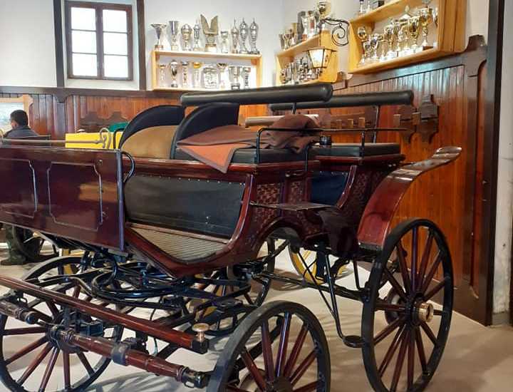 2021/05/images/tour_766/ergela karadjordevo 1.jpg