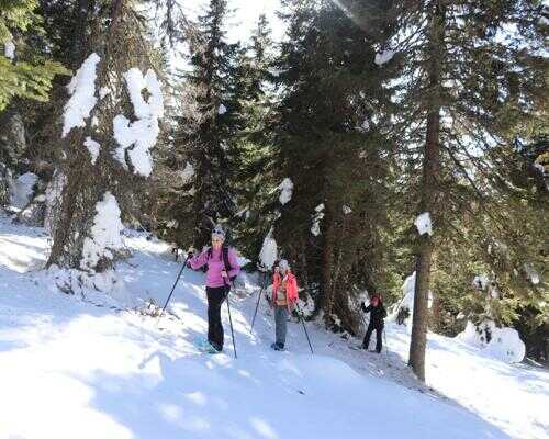 2025/02/images/tour_1843/snowshoeing-serbia-kopaonik-3-large.jpg