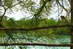 2023/03/images/tour_1256/viberimage2022-02-2316-07-18-294.jpg