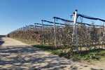 2023/03/images/tour_1192/viberimage2021-11-2213-52-46-876.jpg