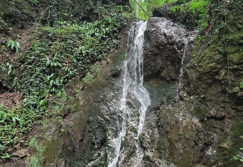 2020/06/images/tour_710/6 dzip tura.jpg