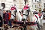2023/03/images/tour_1227/viberimage2022-12-2015-26-59-832.jpg