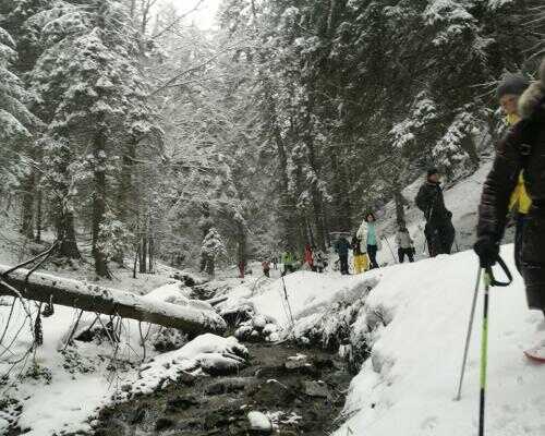 2025/02/images/tour_1843/snowshoeing-serbia-kopaonik-7-large.jpg